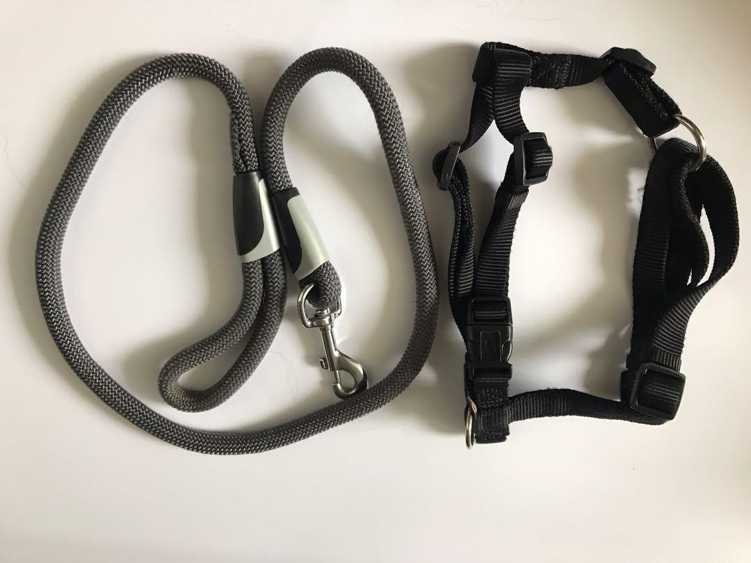 Leash for sale Clearance