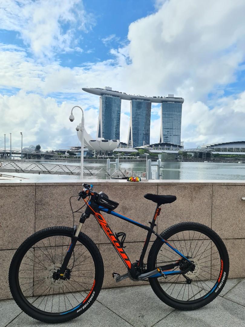 Scott 29 inch mountain bike sale