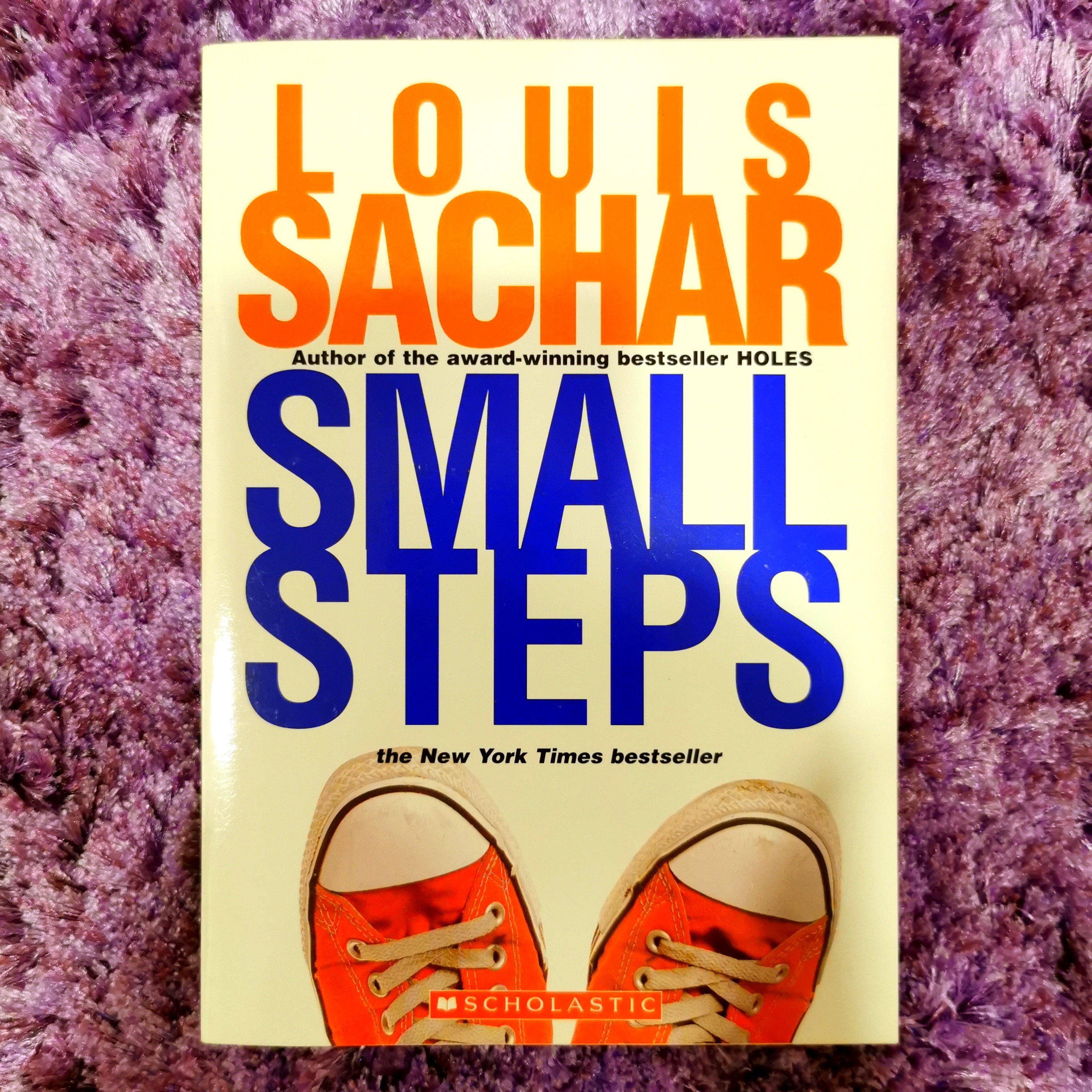 Small Steps - Louis Sachar, Hobbies & Toys, Books & Magazines, Storybooks  on Carousell