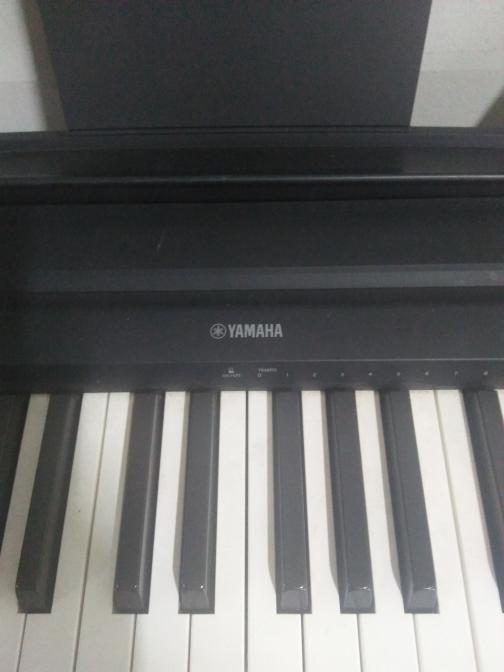 Yamaha P-35 88-Key Digital Piano, Hobbies & Toys, Music & Media