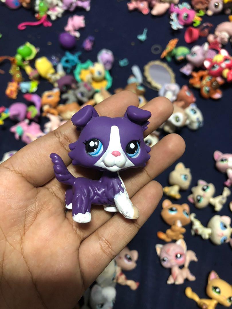 Lps collie hot sale 1676