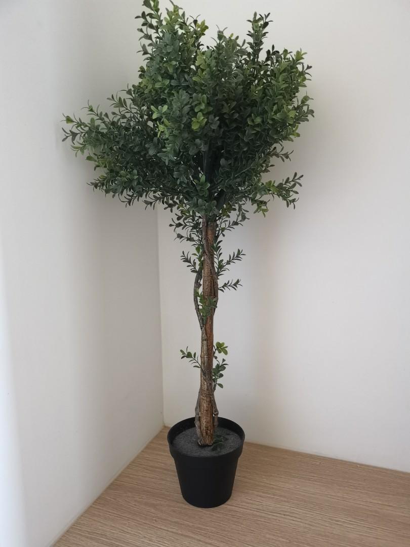 Artificial Potted Plant Ikea Fejka, Furniture & Home Living, Home