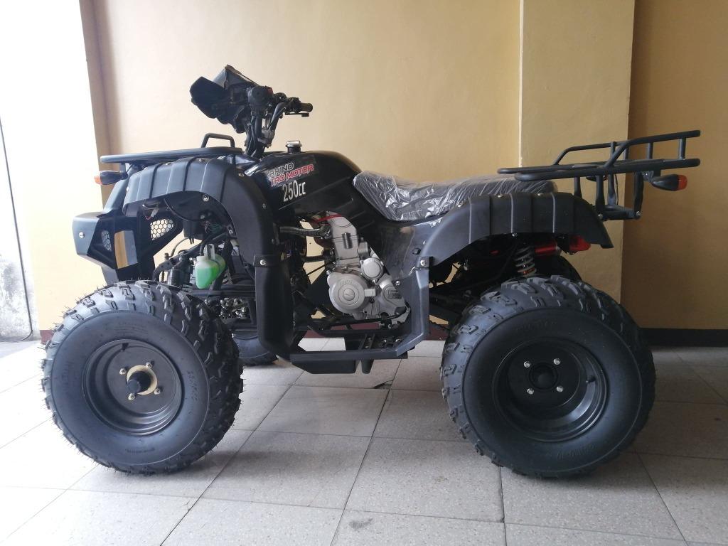 Rhino 250cc store