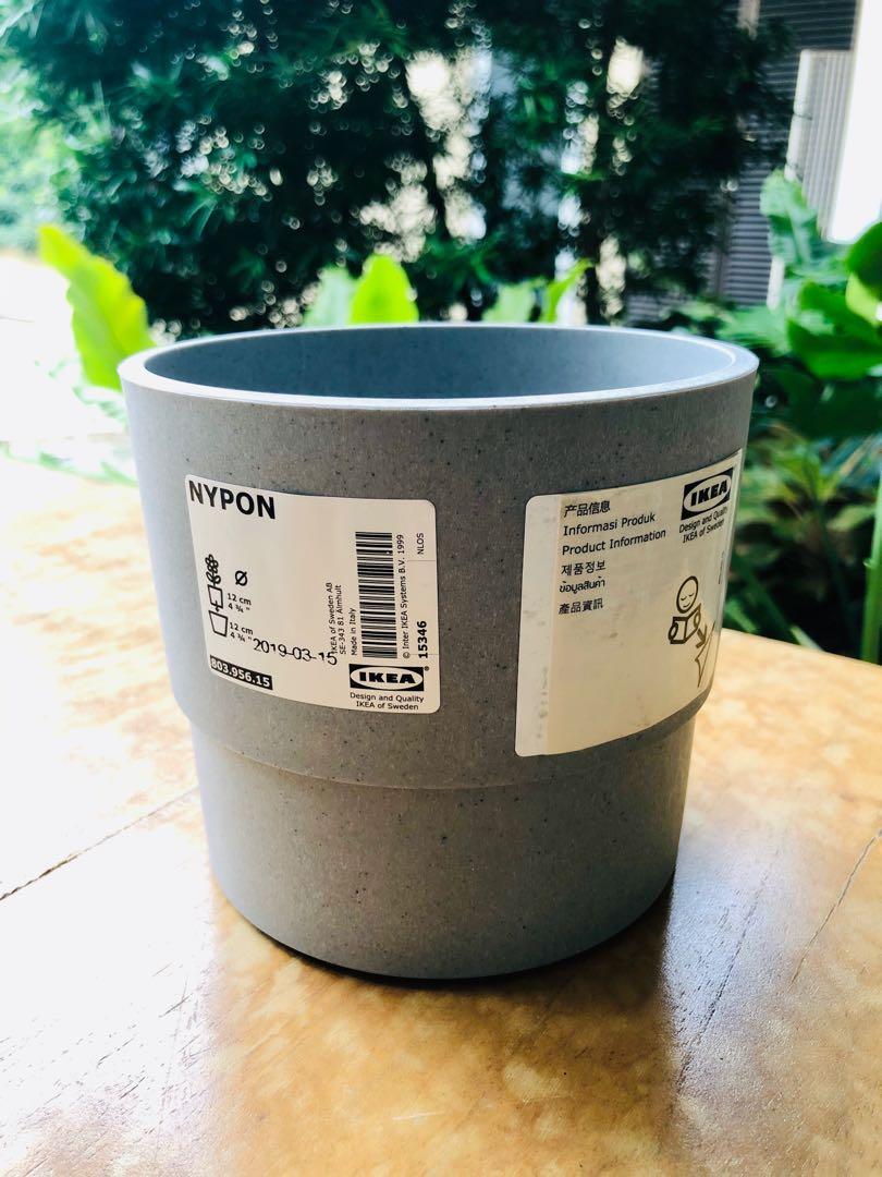 Ikea Plant Pots Gardening Flowers Plants On Carousell