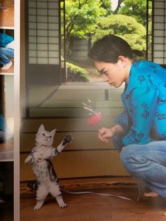 （分類：）位於 。 由 szeeeecc 提交（商品編號 1038187792，圖片 1）。簡介： 。