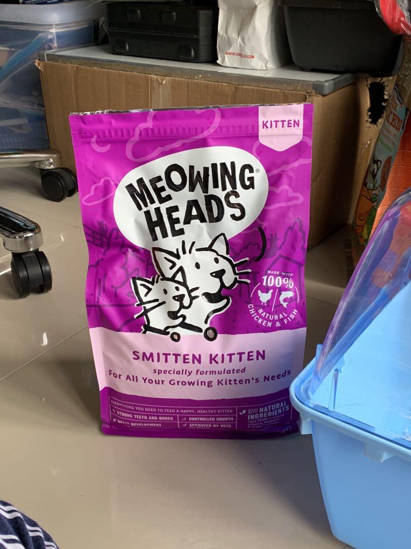 meowing heads kitten