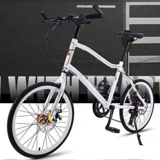 Raleigh Mini Velo 20" bicycle