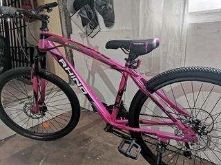 Brand New Rhino Rfr 26er Alloy Frame Mountain Bike Sports Bicycles On Carousell