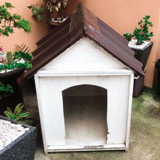 dog house second hand