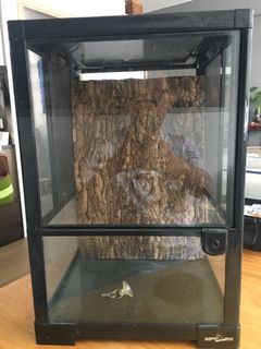 （分類：）位於 。 由 ttttse 提交（商品編號 1038331387，圖片 1）。簡介： 。