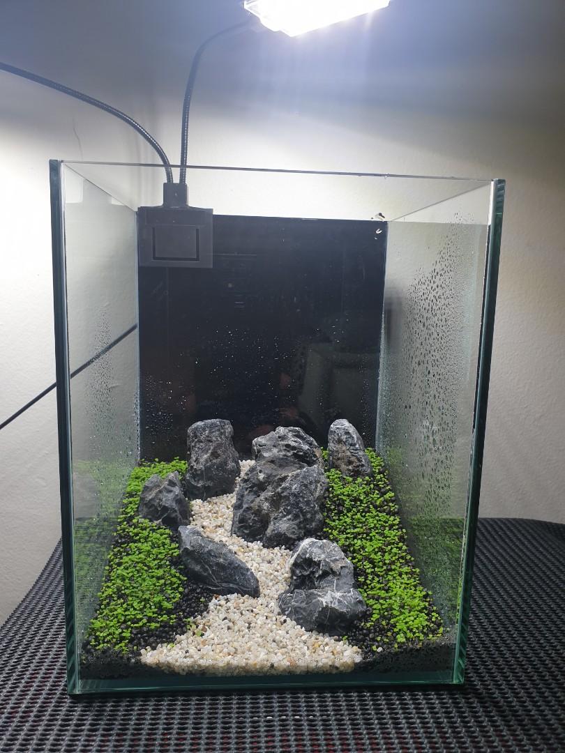 Sold Aquascape Nano Fish Tank Pet Supplies For Fish Fish Tanks On Carousell