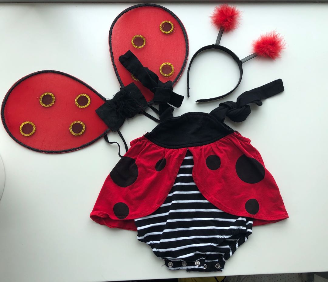 baby ladybug costume