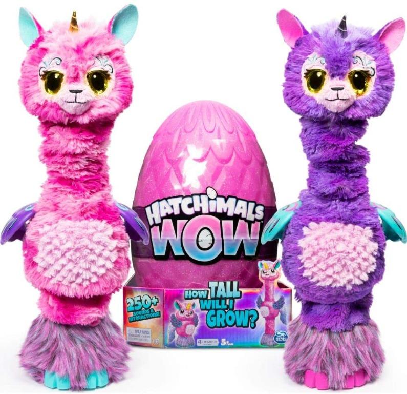 Hatchimals 6044072 hotsell