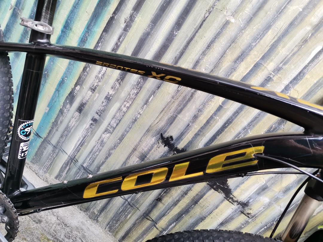 Cole brontes xc 29er frame on sale
