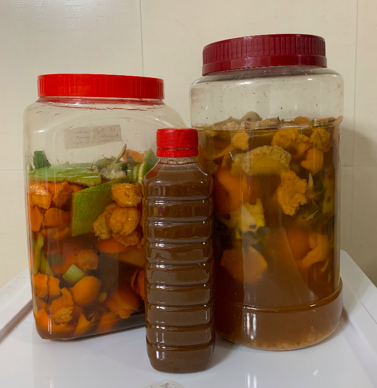 Eco/Fruit enzyme for plants, Furniture & Home Living, Gardening, Plants