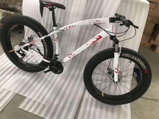 benshi fat bike price