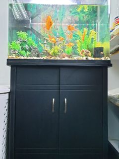 (Category: ) located in . Submitted by osssafety0103 (Listing ID 1038266531, Image 1). Description: .