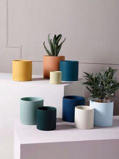 Ceramic Pot Pots Planters Carousell Singapore