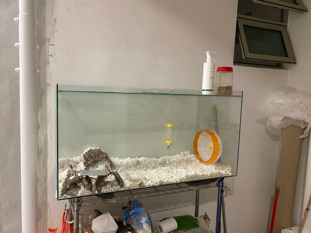 Hamster tank online