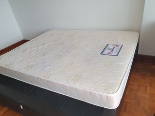 (Category: ) located in . Submitted by sctche (Listing ID 1038303616, Image 1). Description: .