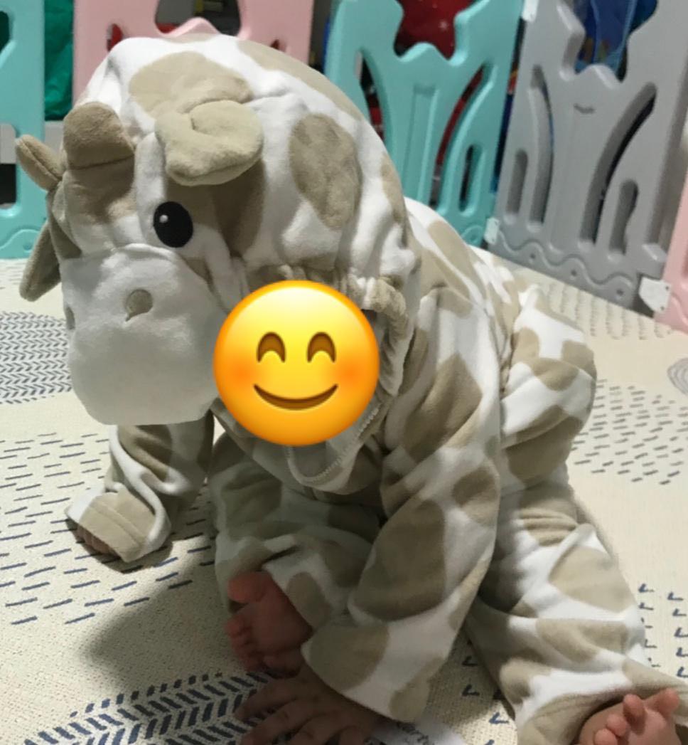 carter's giraffe outfit