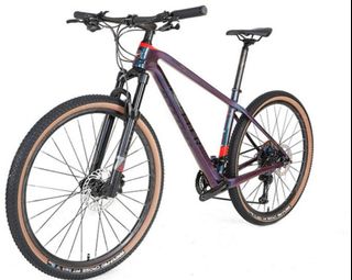 twitter warrior 29er