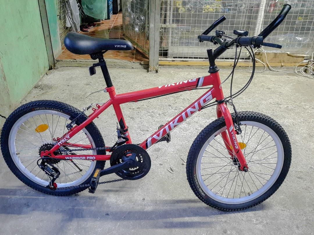 viking bike with basket