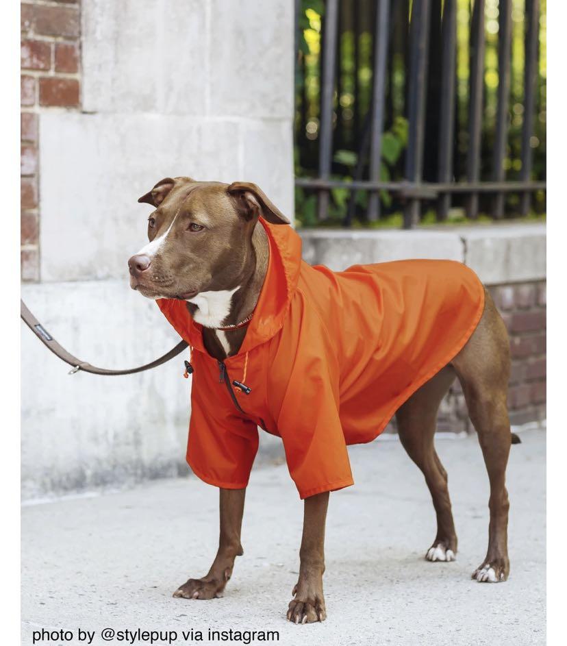 Wagwear Raincoat for Dog made in USA