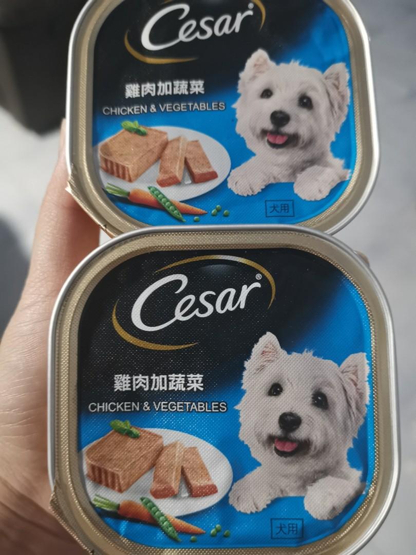 cesar dog food cheapest
