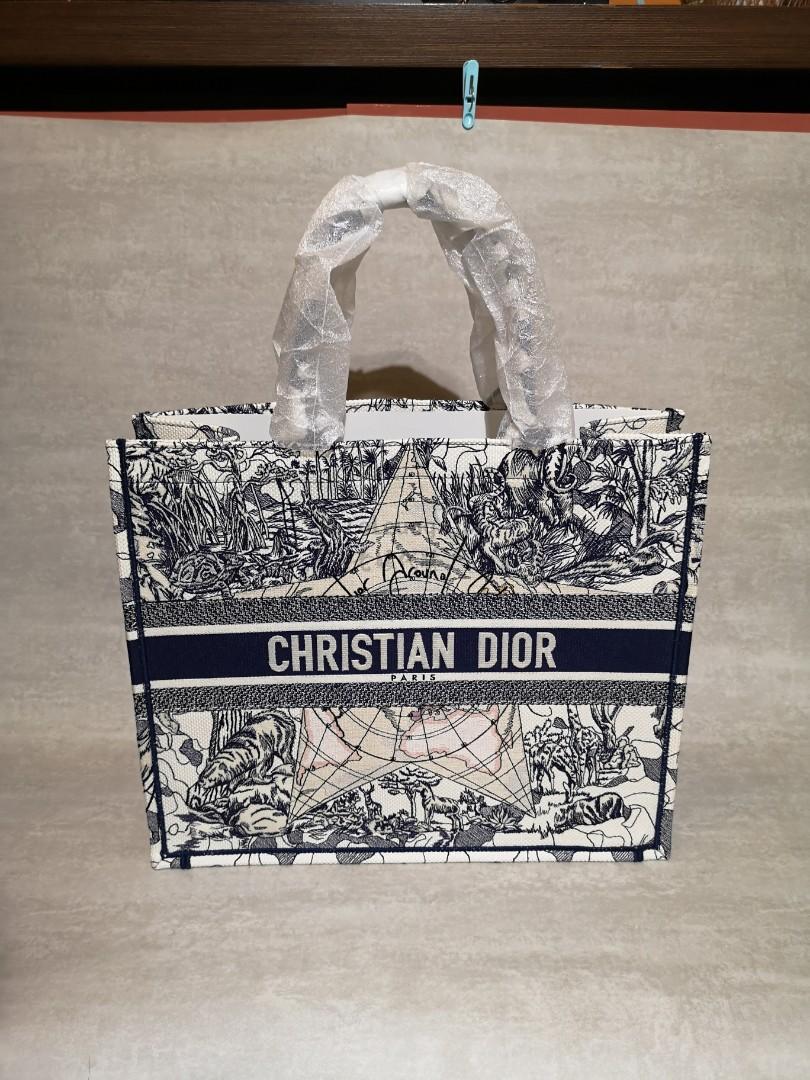 Dior around the world book tote Carousell