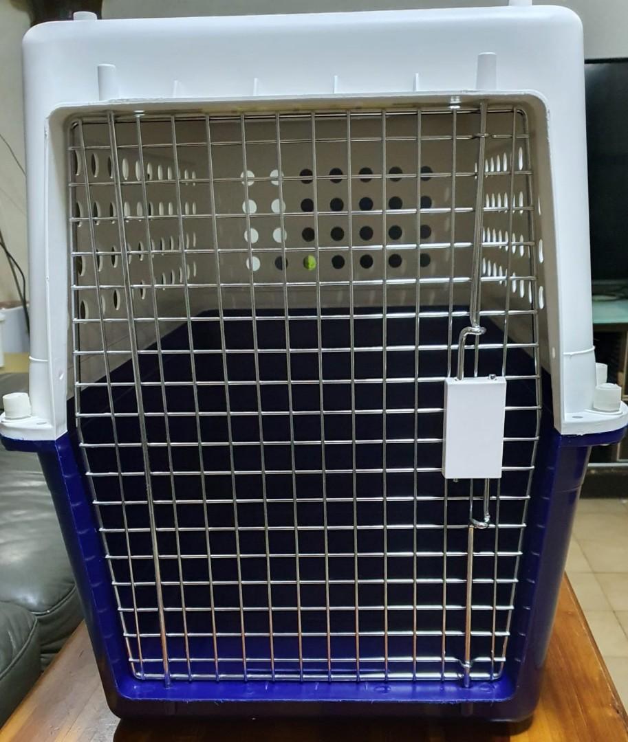 pp50 dog crate