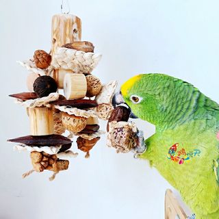 (Category: ) located in . Submitted by letsflock (Listing ID 1032895240, Image 1). Description: .