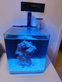 (Category: ) located in . Submitted by berlch (Listing ID 1032864930, Image 1). Description: .