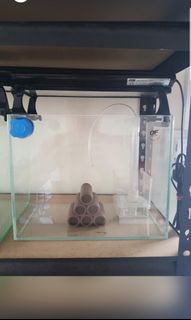 (Category: ) located in . Submitted by grangrez (Listing ID 1032959892, Image 1). Description: .