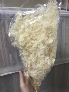 （分類：）位於 。 由 melon2828 提交（商品編號 1032979634，圖片 1）。簡介： 。