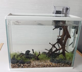(Category: ) located in . Submitted by aidilistic (Listing ID 1033031543, Image 1). Description: .