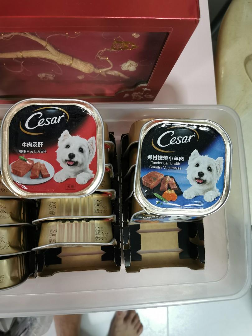 Cesar Dog Food Pet Supplies For Dogs Dog Food On Carousell