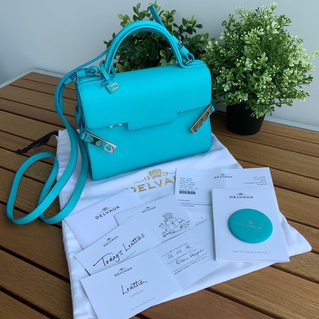 Delvaux best sale tempete mini