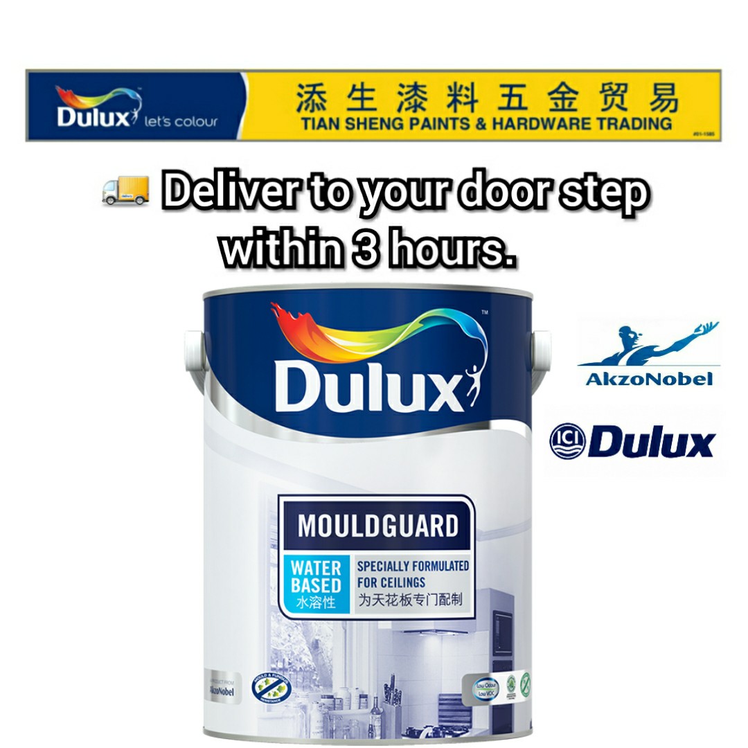 Dulux Mouldguard ICI Dulux Paint AntiMould Ceiling Paint 5L