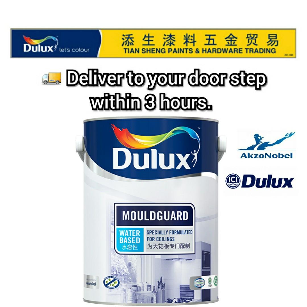 Dulux Mouldguard ICI Dulux Paint AntiMould Ceiling Paint 5L