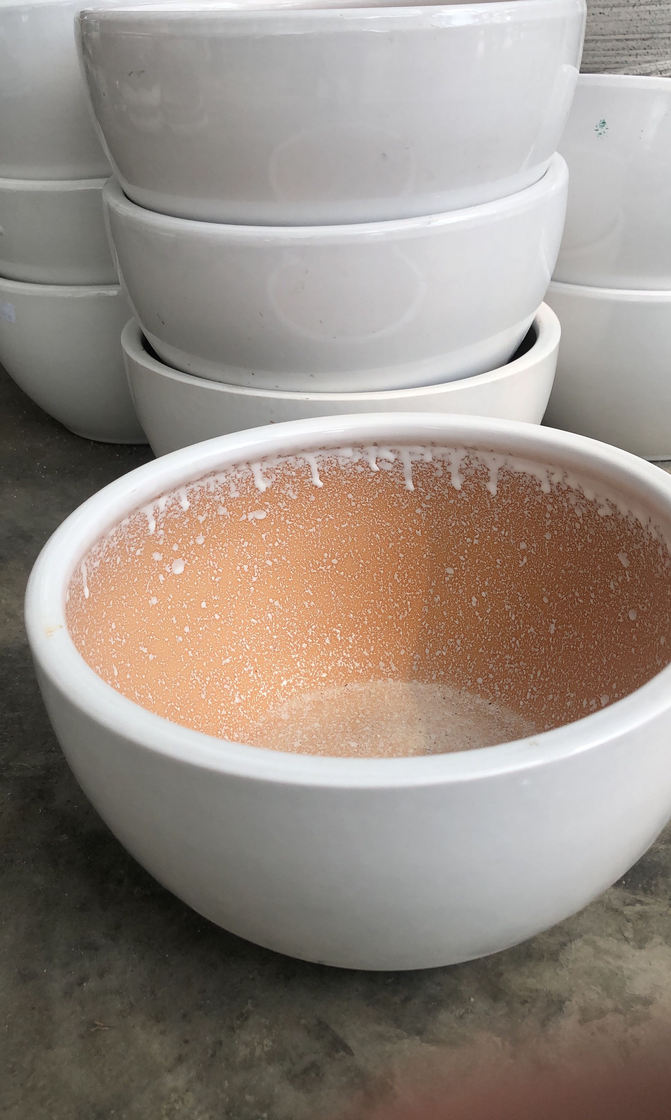 Pasu Bulat Besar Rendah Putih, Furniture & Home Living, Gardening