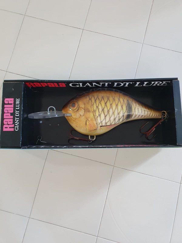 Rapala Giant DT Lure (giant fishing lure), Sports Equipment, Fishing on  Carousell