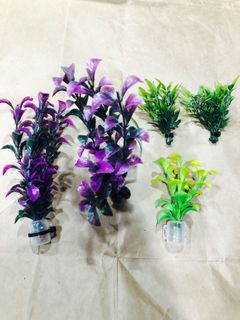 (Category: ) located in . Submitted by everlasting_sg (Listing ID 1033345696, Image 1). Description: .