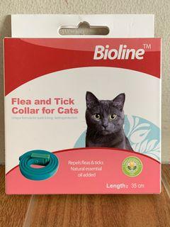 cat collars near me