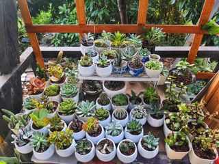 (Category: ) located in . Submitted by muditaph (Listing ID 1033358779, Image 1). Description: .