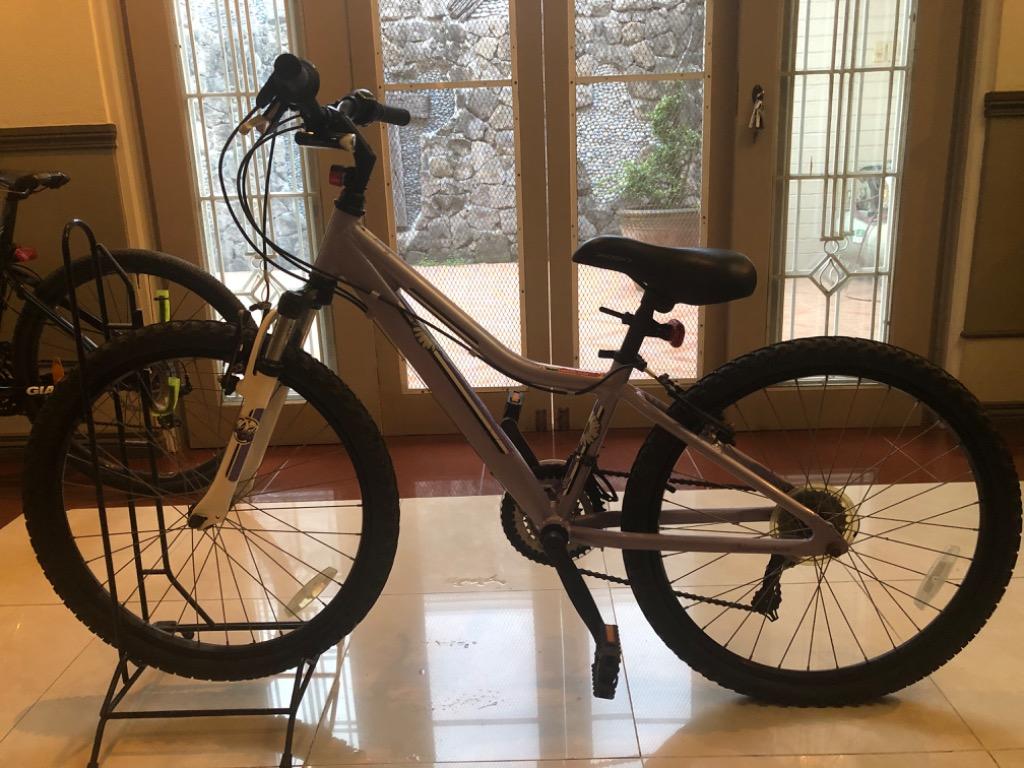 Diamondback lustre 24 cheap