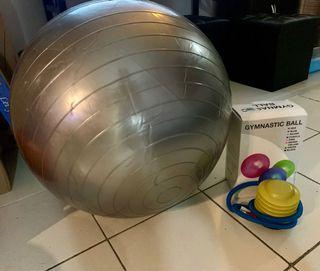 Gym Ball ( Silver ) with free air pump