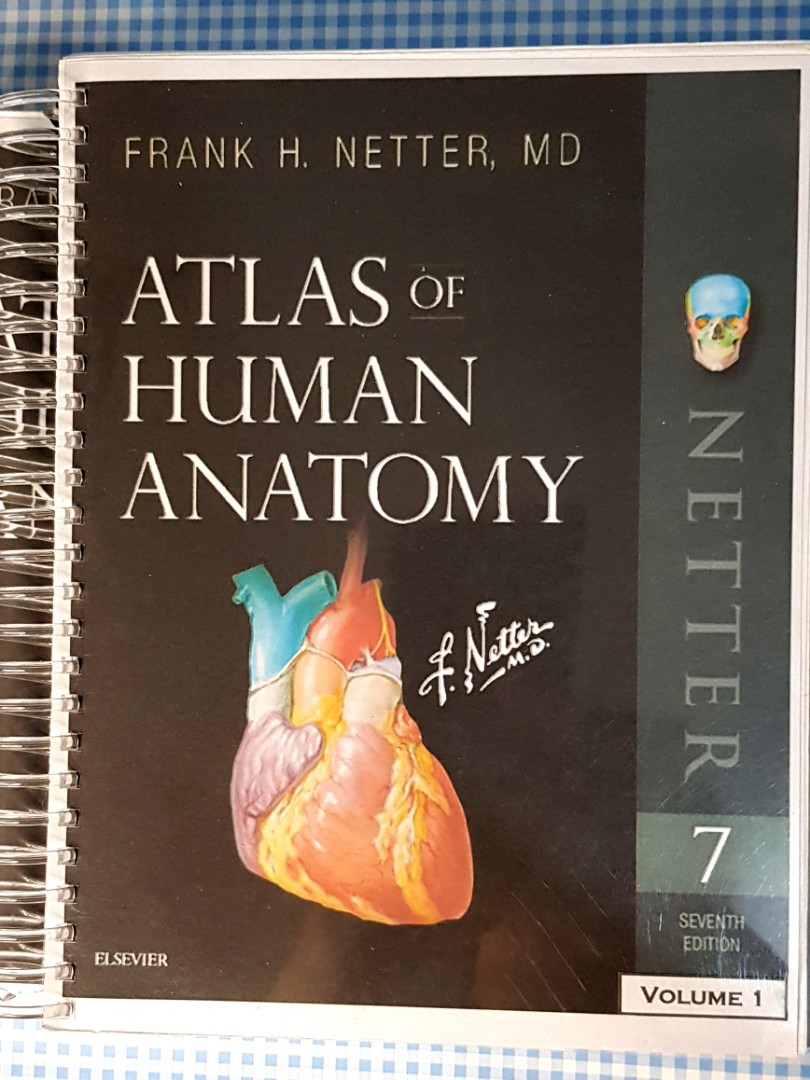 Netter Atlas of Human Anatomy (7th edition), Hobbies & Toys, Books ...