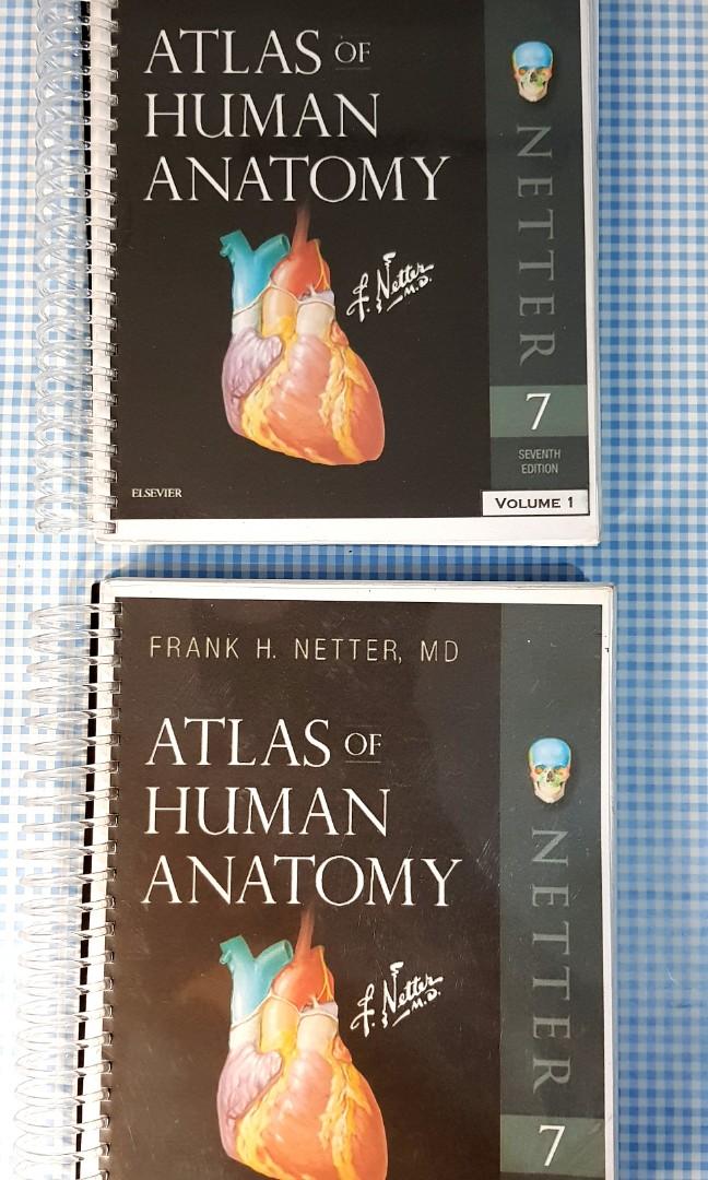 Netter atlas of human anatomy 7th edition hobbies toys books
