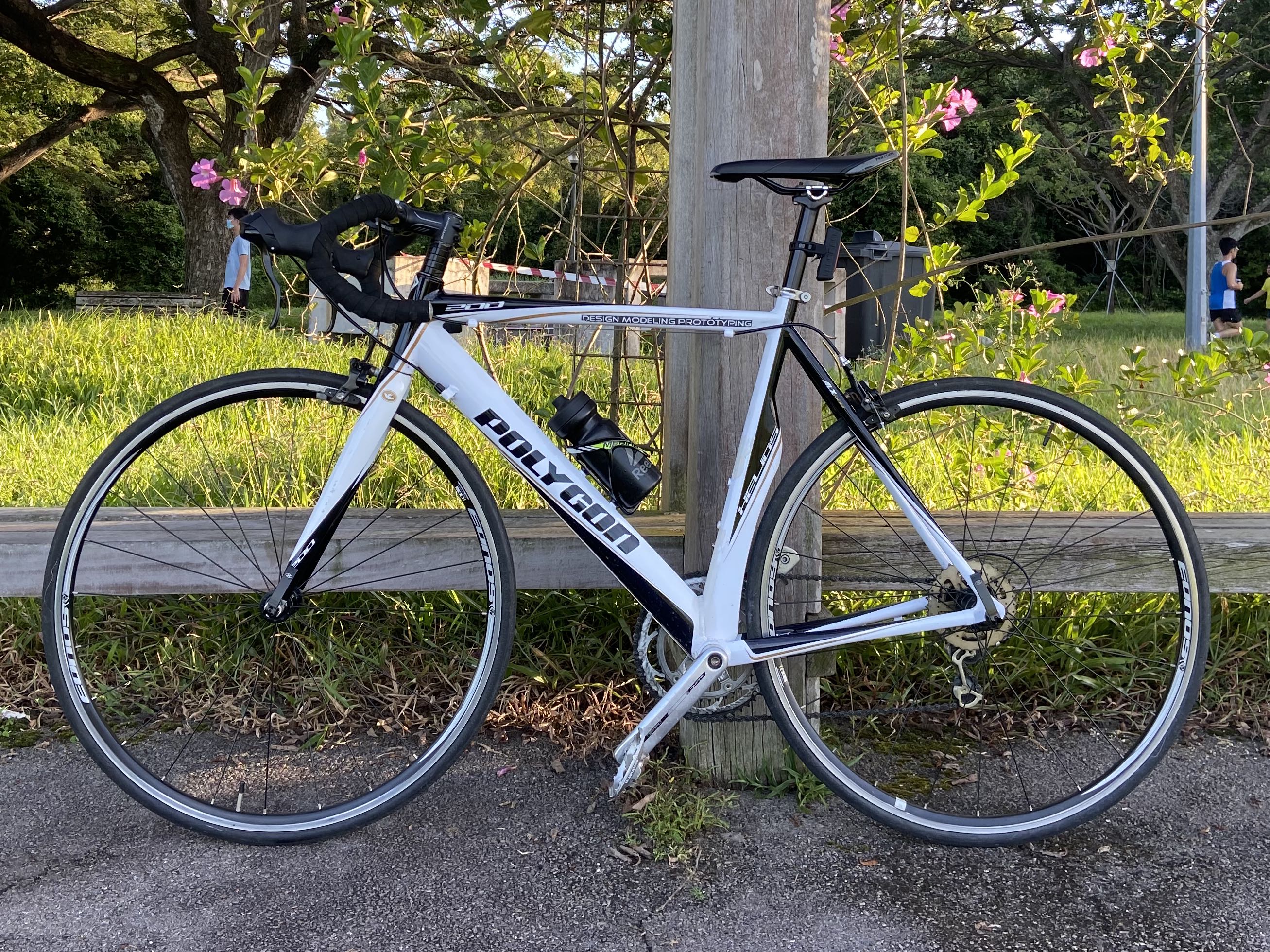 polygon helios 300 tt